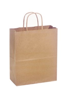 Kraft Paper Gift Bags - Medium (24 pk)